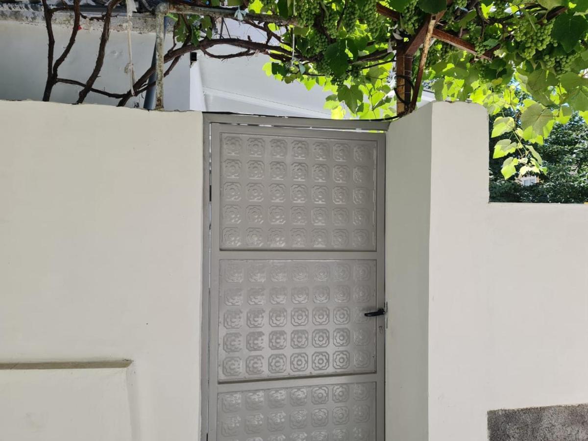 Apartament Vasili's